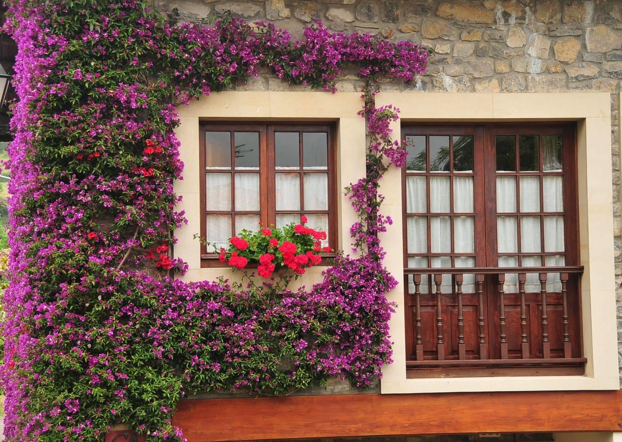 Casa Rural Llugaron I Miravalles 外观 照片